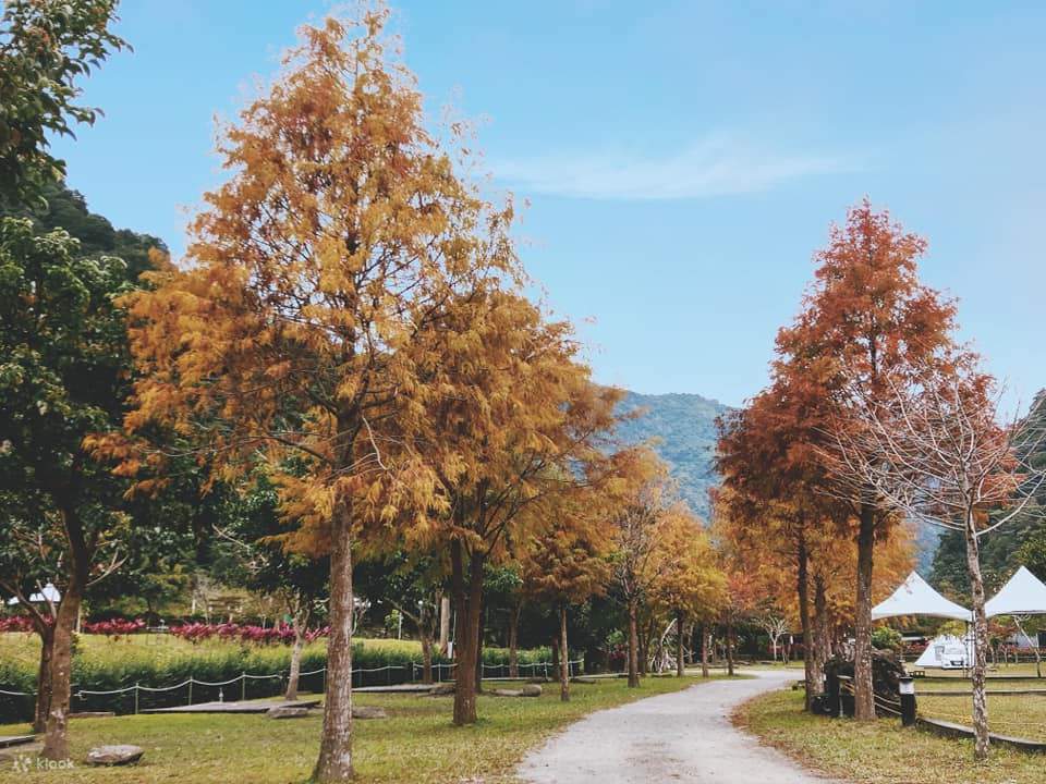 Khu cắm trại Na Shan Na Gu